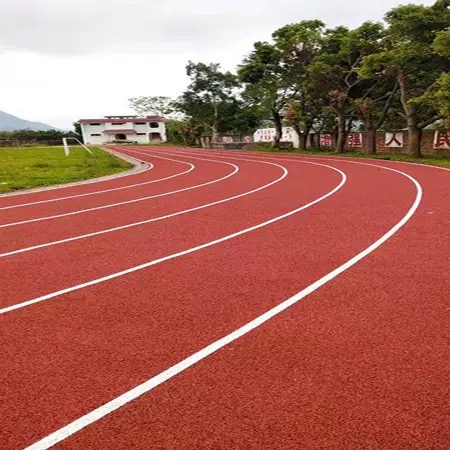 旭峰体育产业发展有限公司案例图片